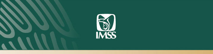 IMSS logotipo